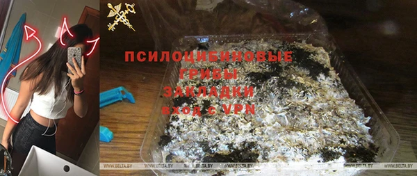 твердый Пересвет